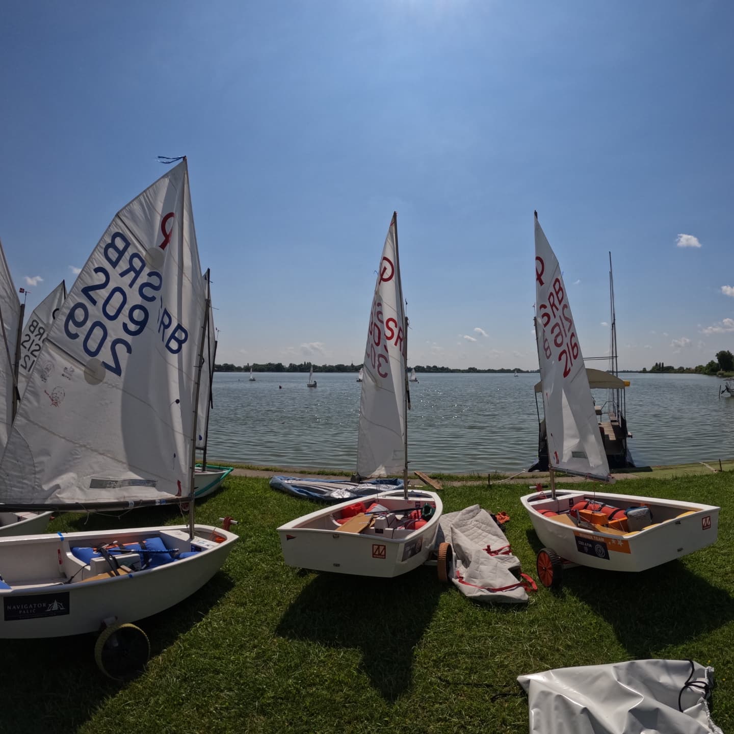 SEEOOC 2025 Palić